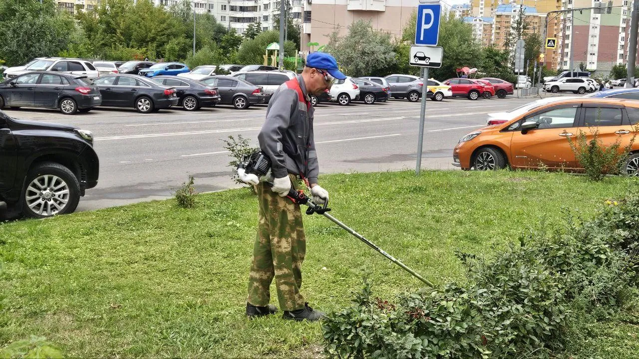 Этим летом подмосковные коммунальщики косили траву свыше 75 тысяч раз
