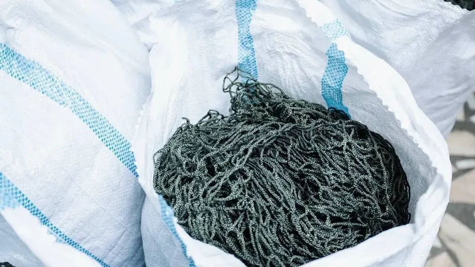 Фото: пресс-служба администрации г.о. Кашира