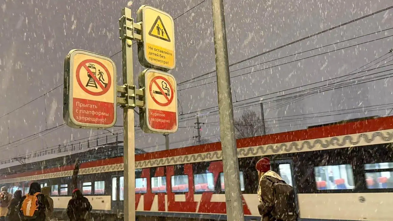 REGIONS/Анастасия Малышенко