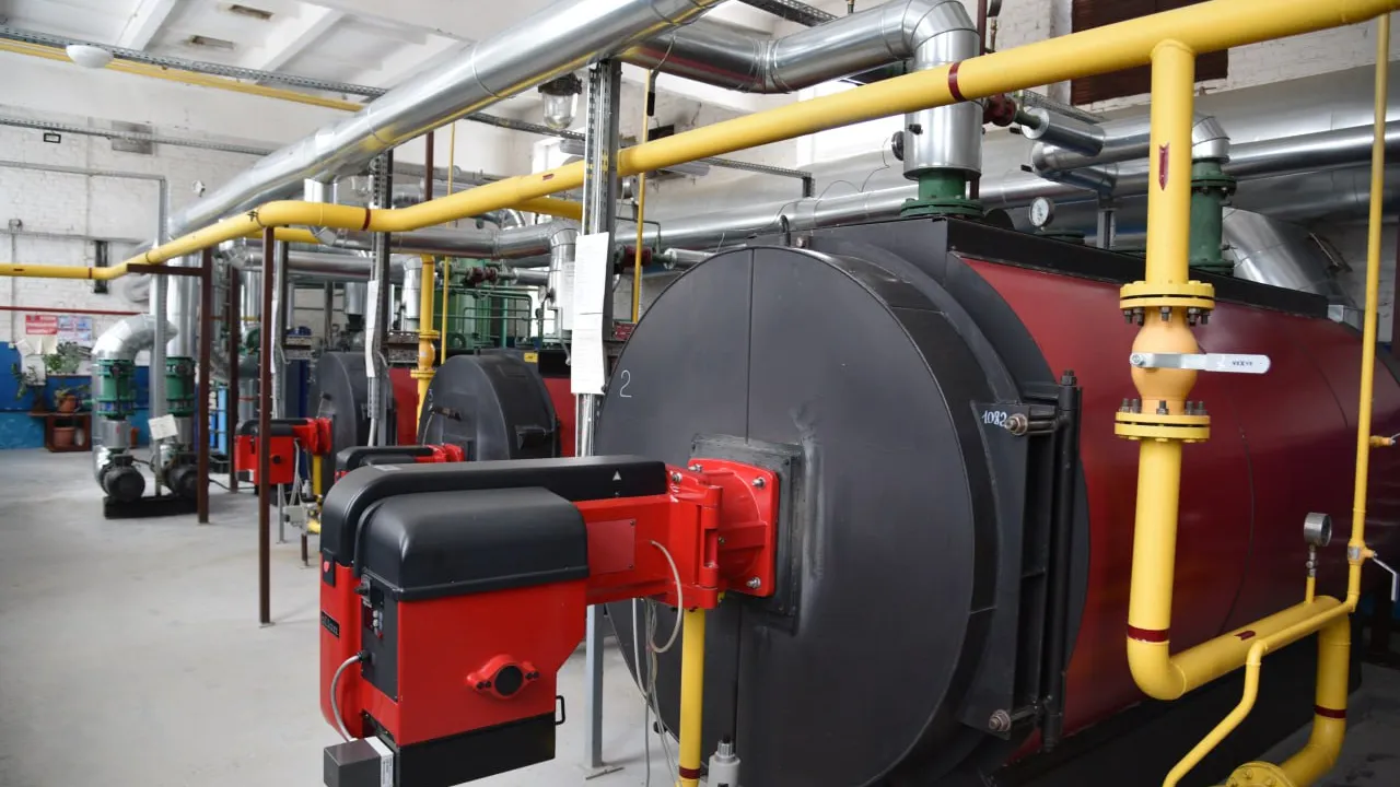 Фото: администрация г.о. Лотошино