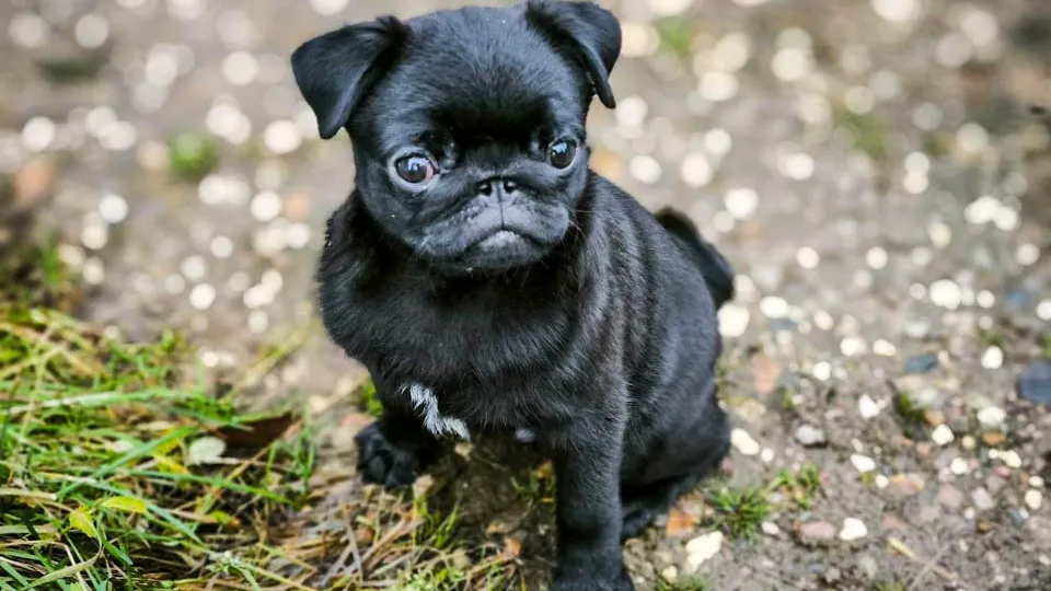 Фото: REGIONS/Роман Малышенко