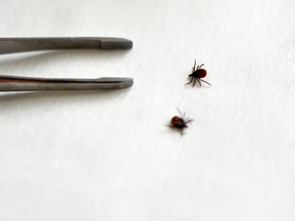 Фото: РИА Новости/Павел Лисицын