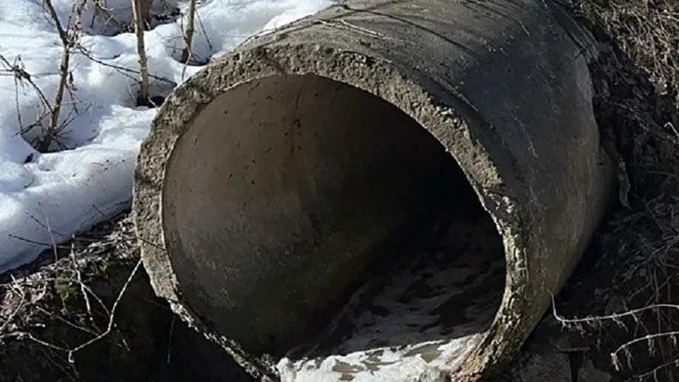 Фото: Минэкологии МО