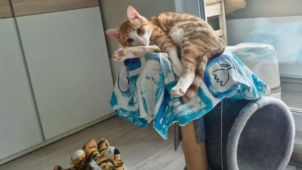 Фото: Министерство жилищной политики Московской области