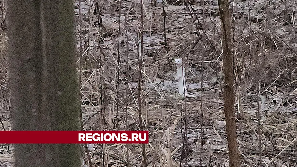 Фото: Андрей Семибратов