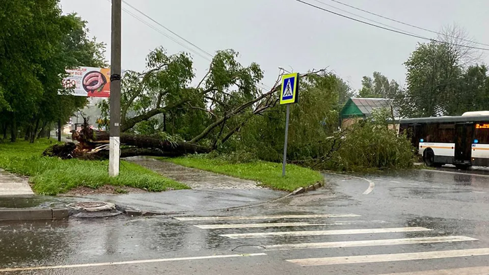 Фото: t.me/pushkino_official