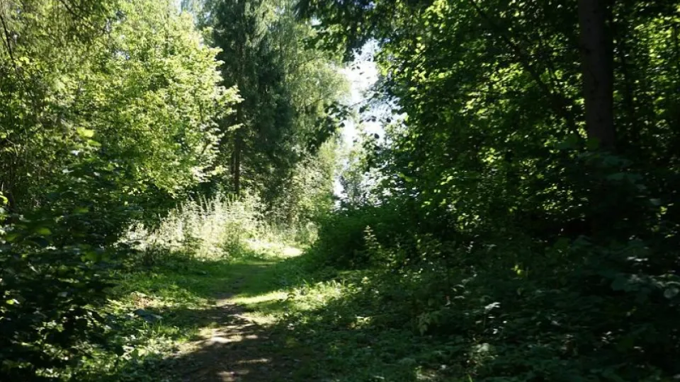 Фото: Министерство экологии и природопользования Московской области