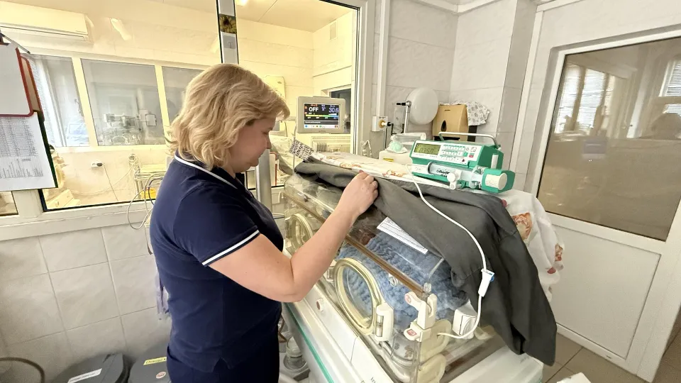 Фото: МедиаБанк Подмосковья/Анна Дука