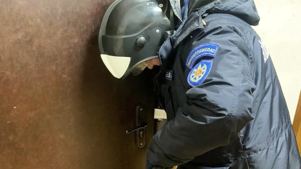 Фото: ГКУ МО «Мособлпожспас»