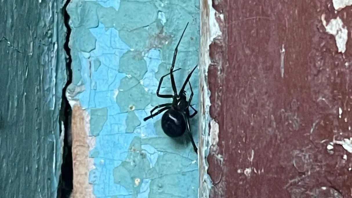 Фото: Подслушано Руза. / Вконтакте