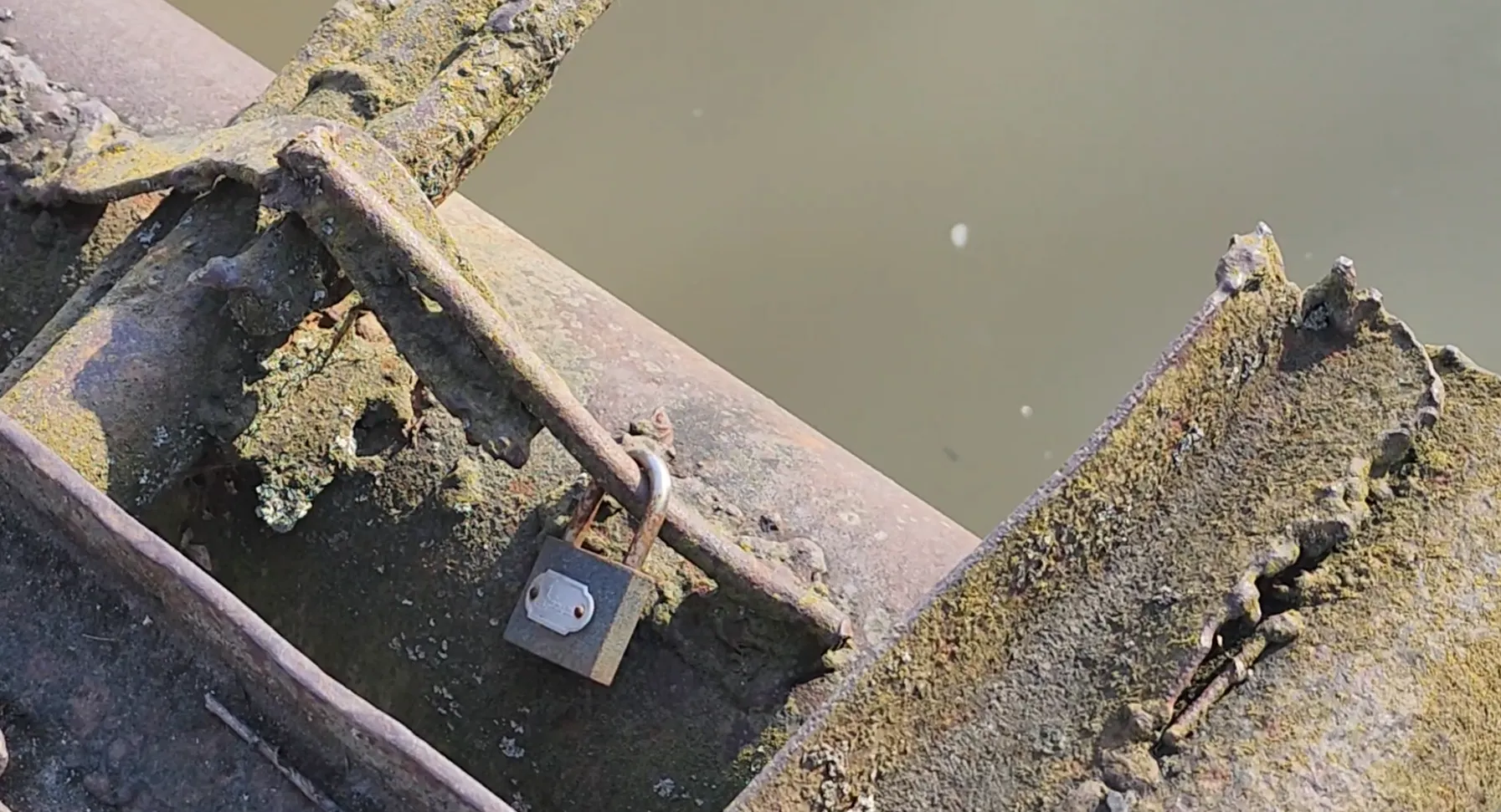 REGIONS/Евгений Рой