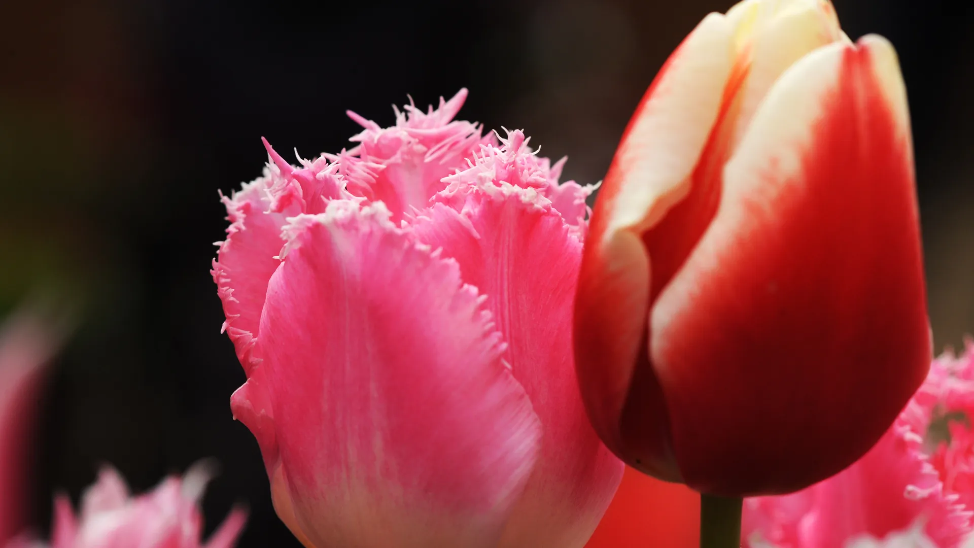 медиасток.рф