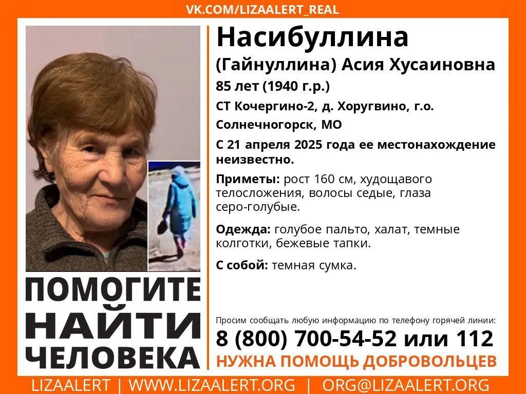 Фото: ПСО «ЛизаАлерт»