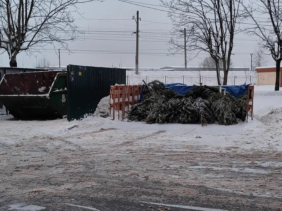 Фото: REGIONS/Елена Катасонова