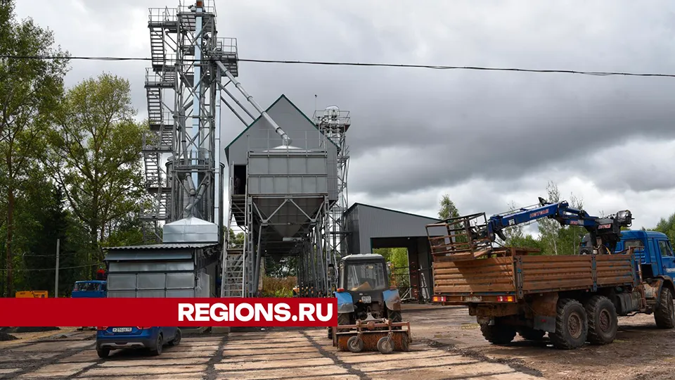 Фото: Владимир Останин