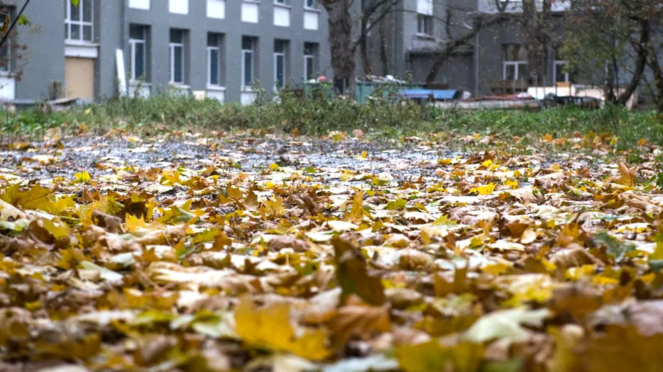 Фото: медиасток.рф