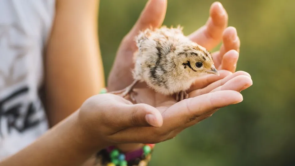 Фото: freepik.com