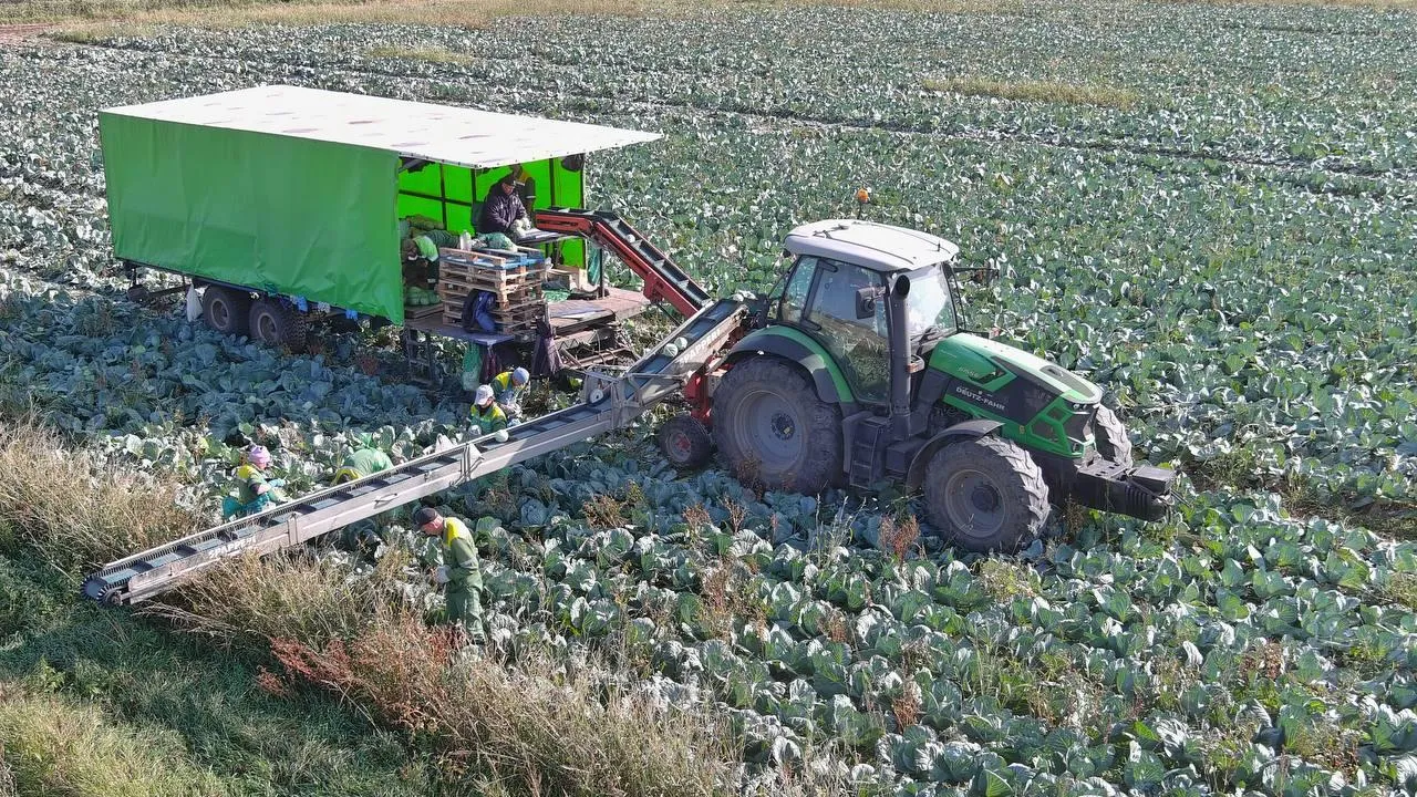 Пресс-служба Минсельхозпрод МО