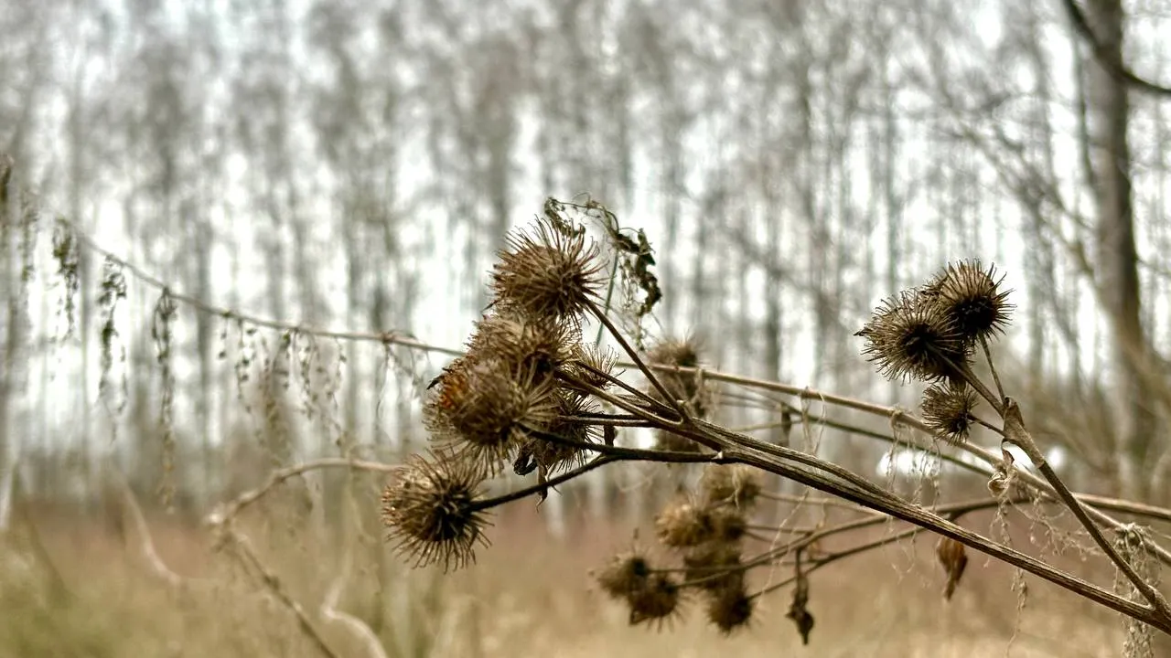Фото: REGIONS/Полина Крачун