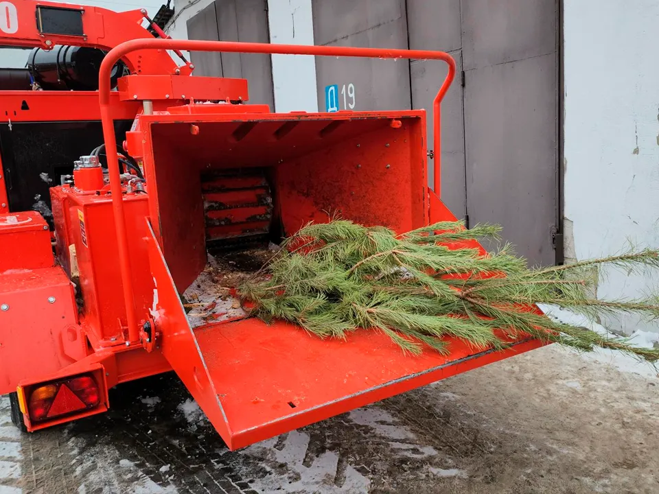 Фото: МедиаБанк Подмосковья/Роман Кутузов