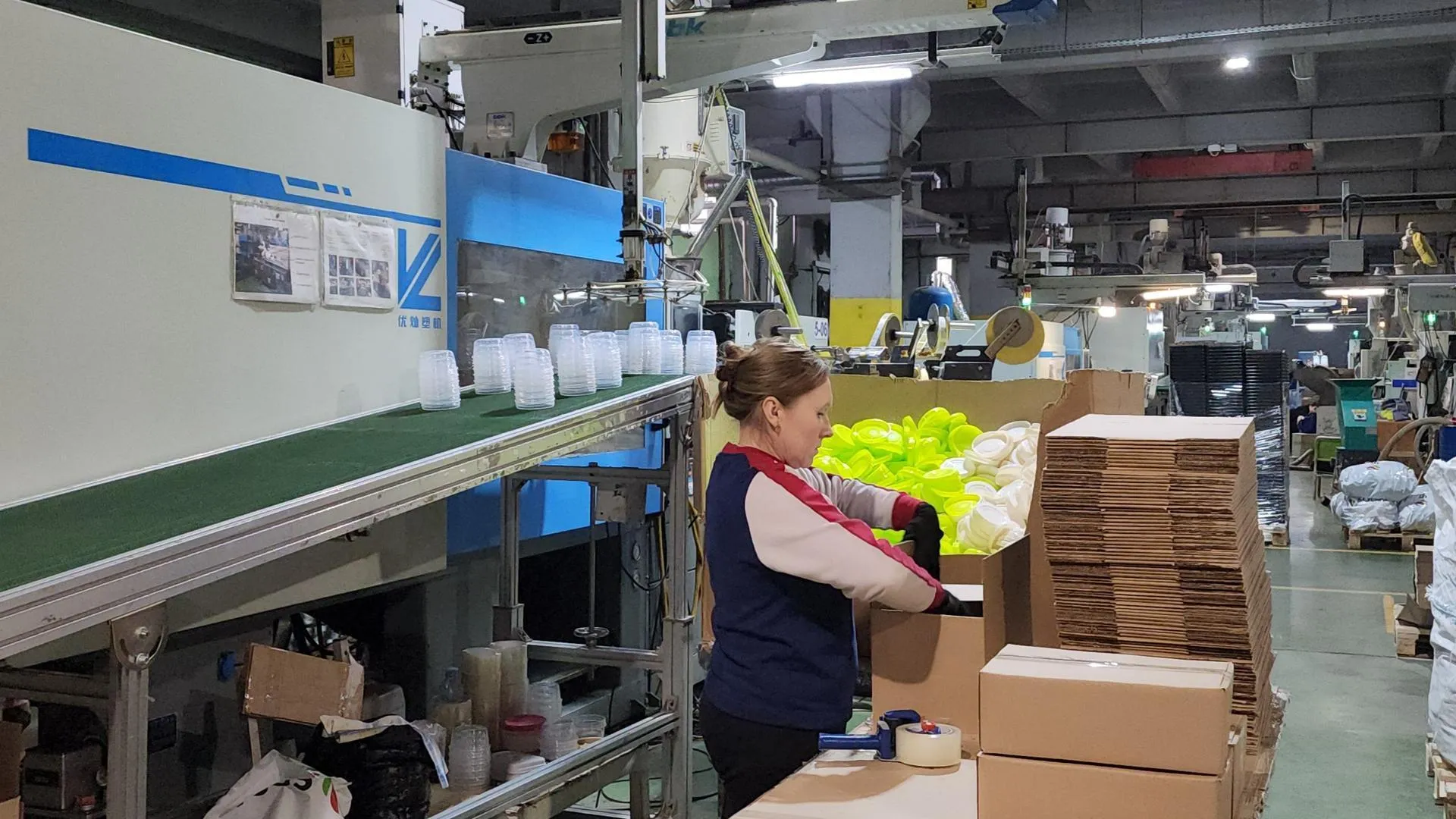 REGIONS/Валерия Тингаева