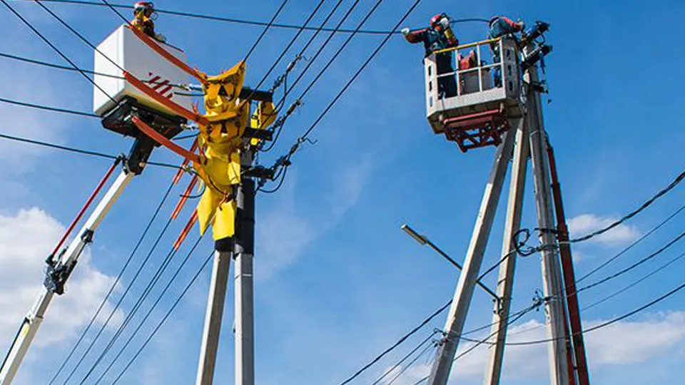 Фото: пресс-служба губернатора и правительства Московской области