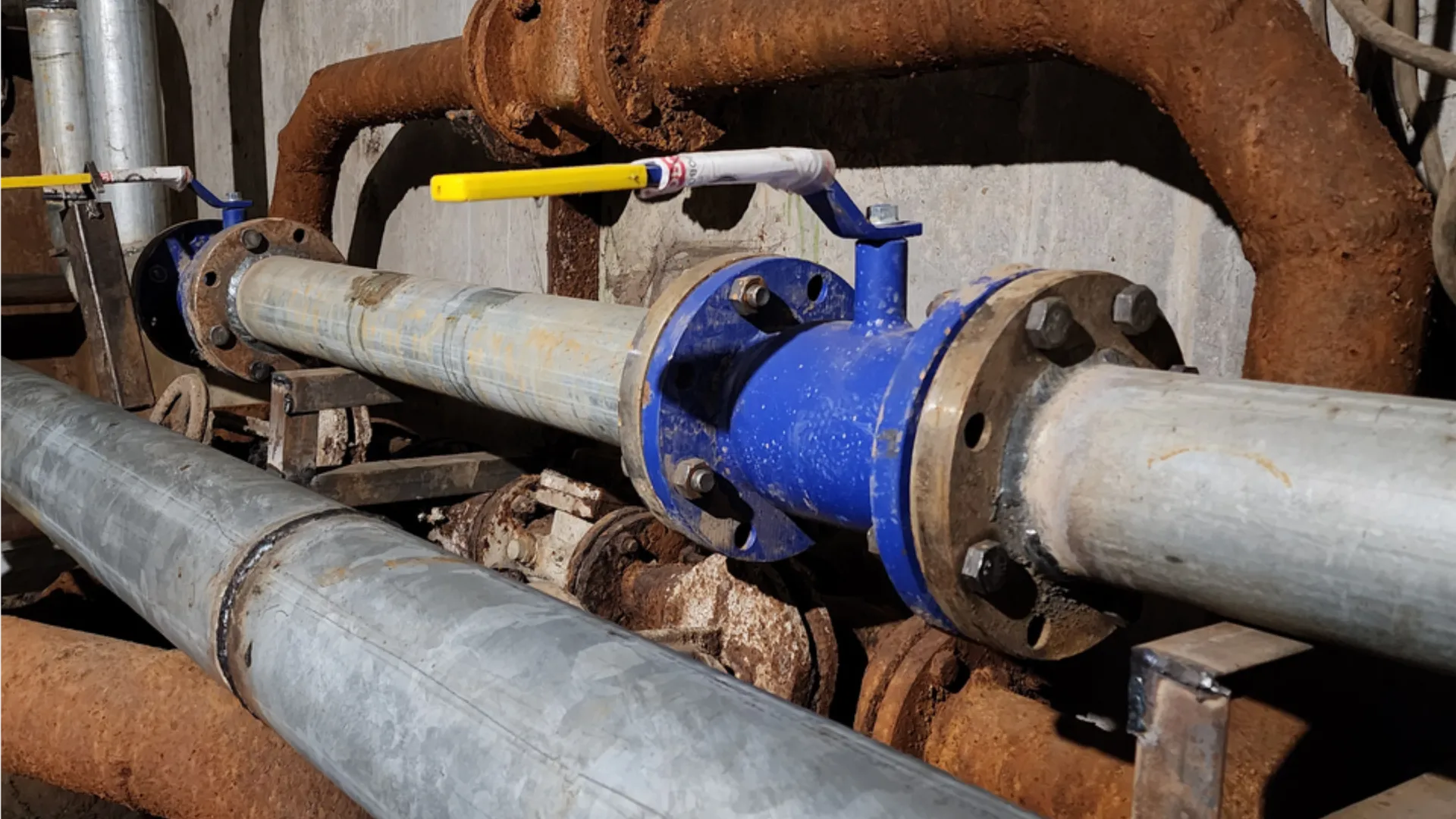 Фото: МедиаБанк Подмосковья/Иван Дубров