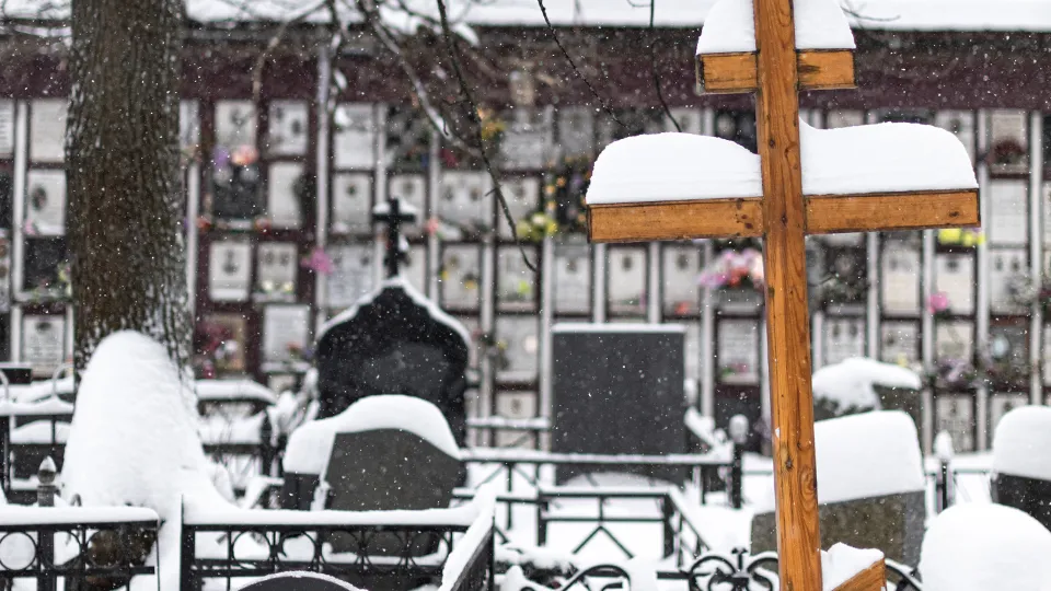 Фото: istockphoto.com/Oleg Opryshko