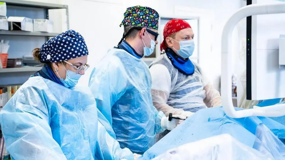 Фото: Пресс-служба министерства здравоохранения Московской области