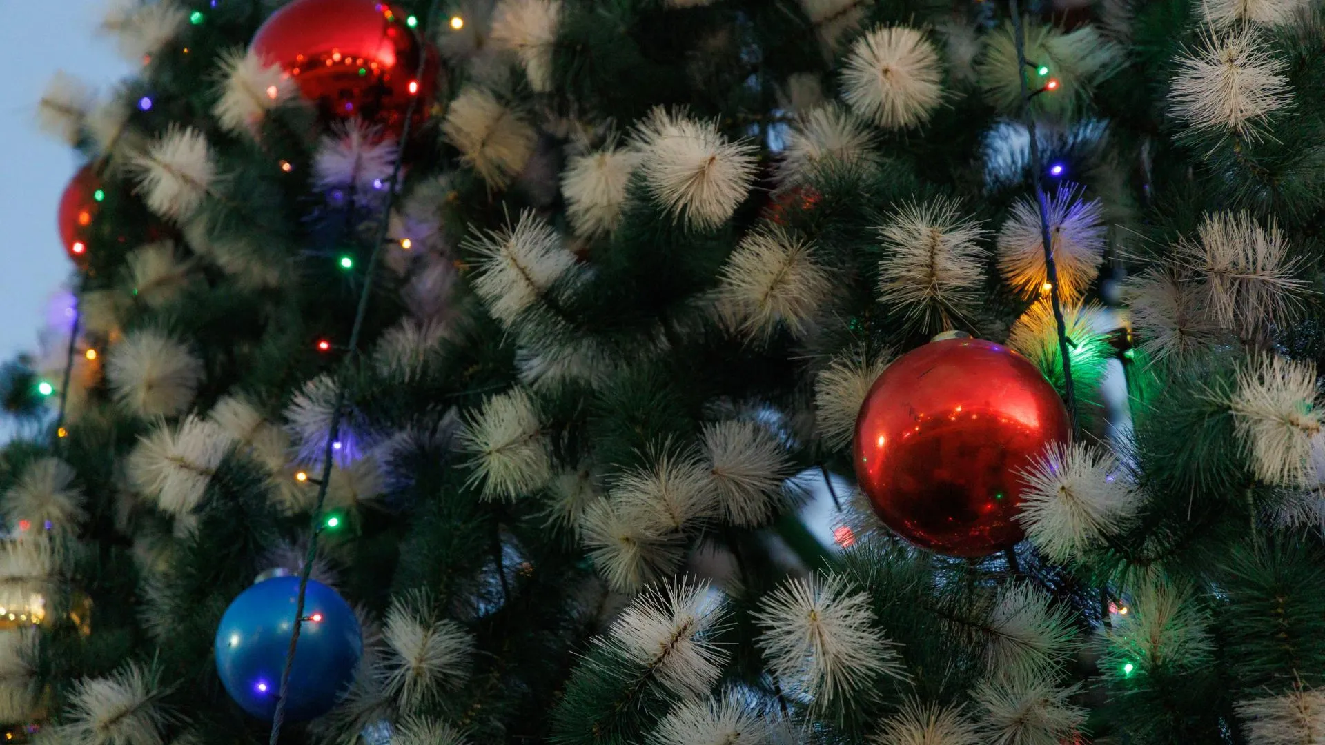 В Кашире стартует сезон «Зима в Подмосковье» — жителей ждут более 50 событий