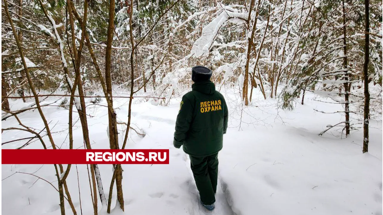 Фото: Яна Шаливская
