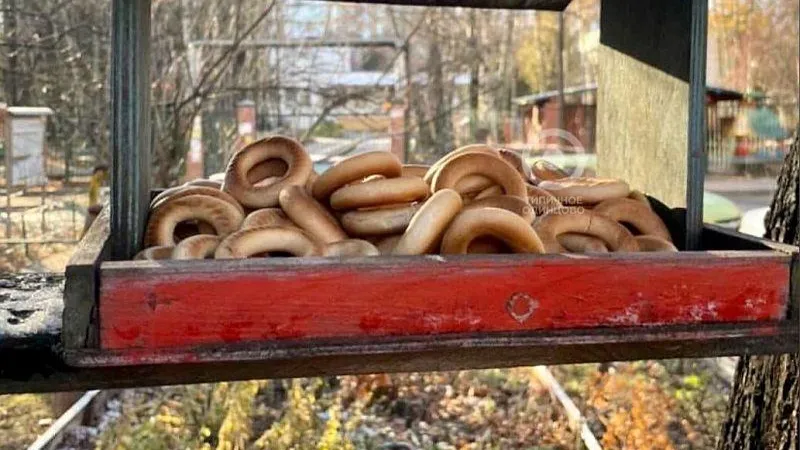Заботливый одинцовец купил птицам баранки, которые невозможно съесть