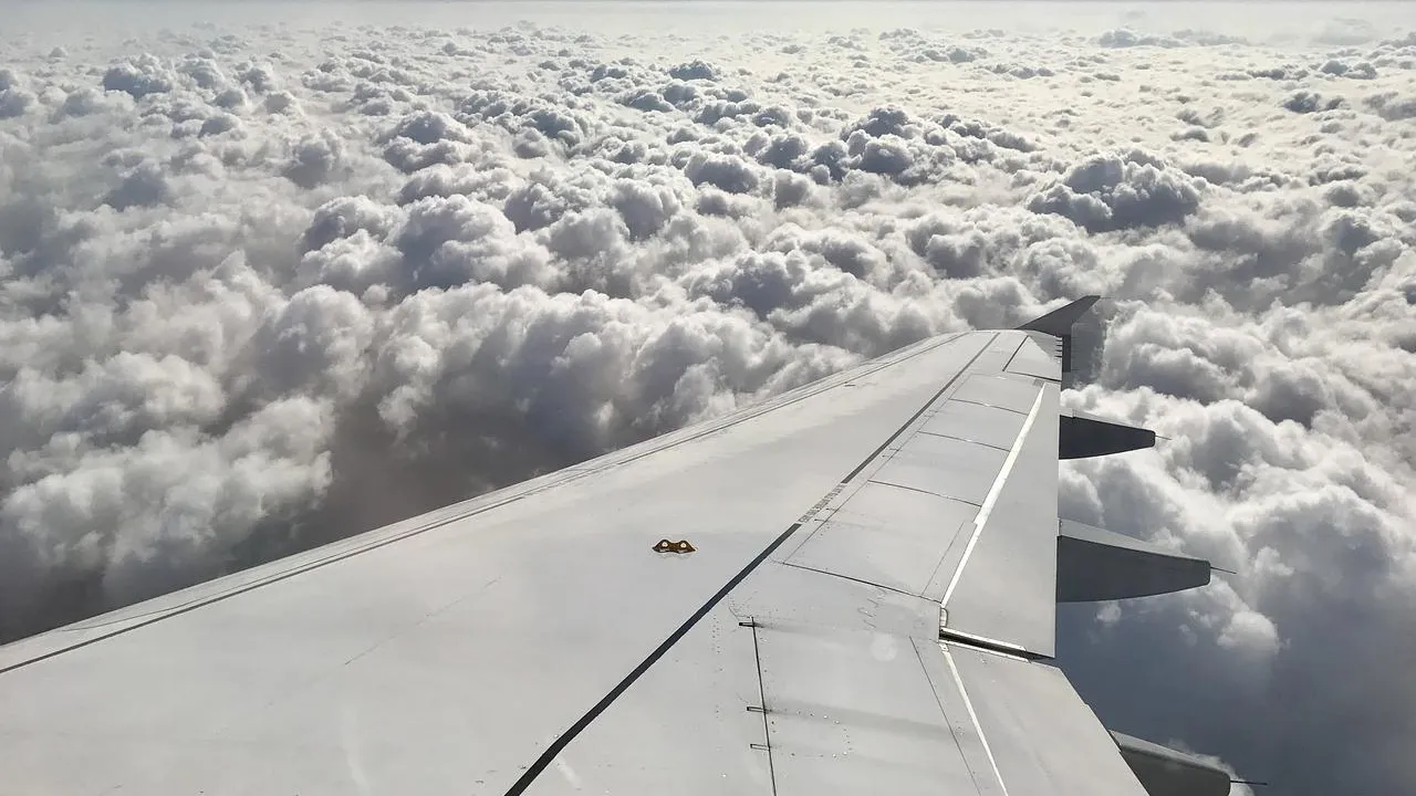 Фото: Pixabay.com