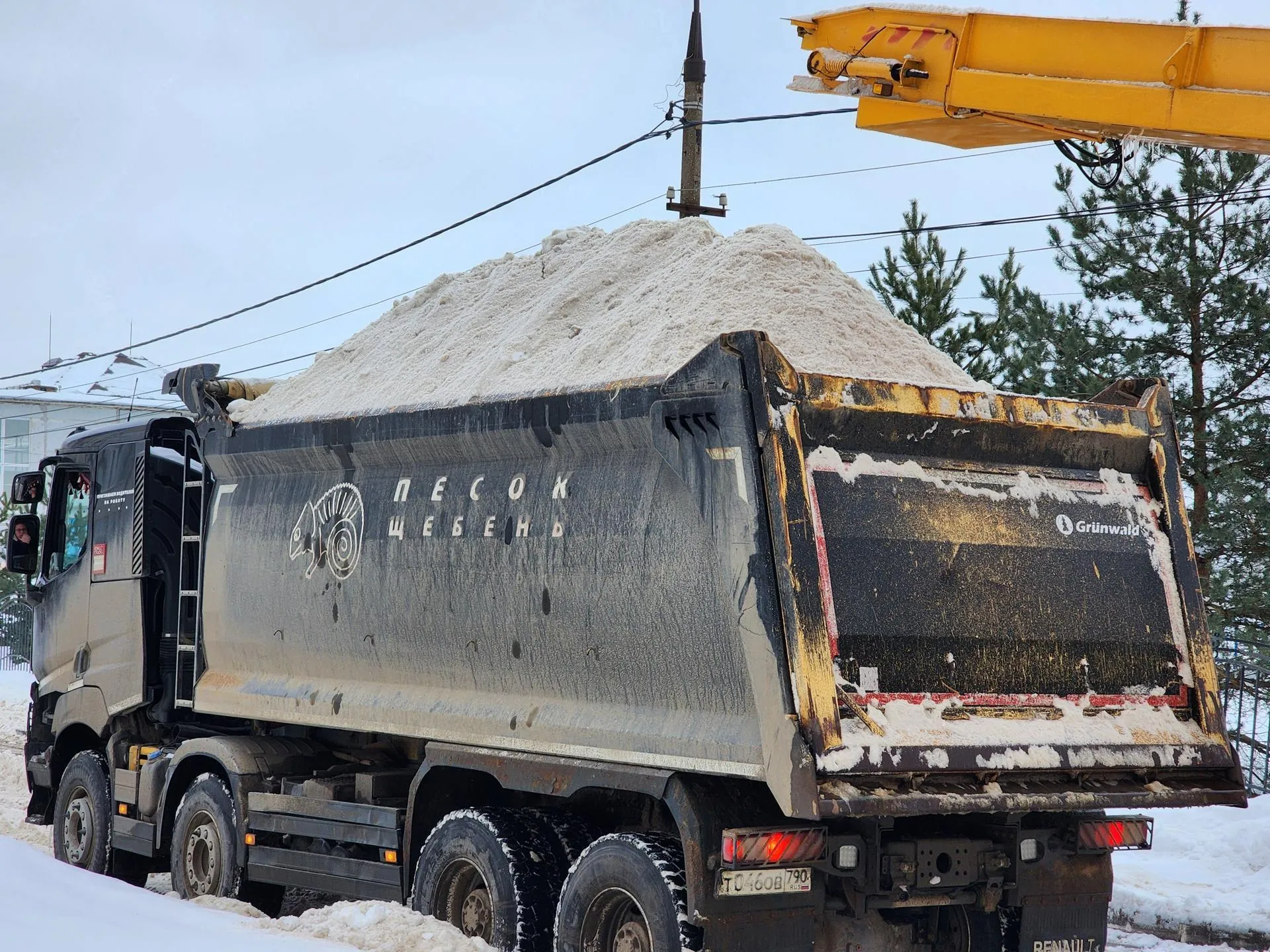 REGIONS/Елена Шумакова