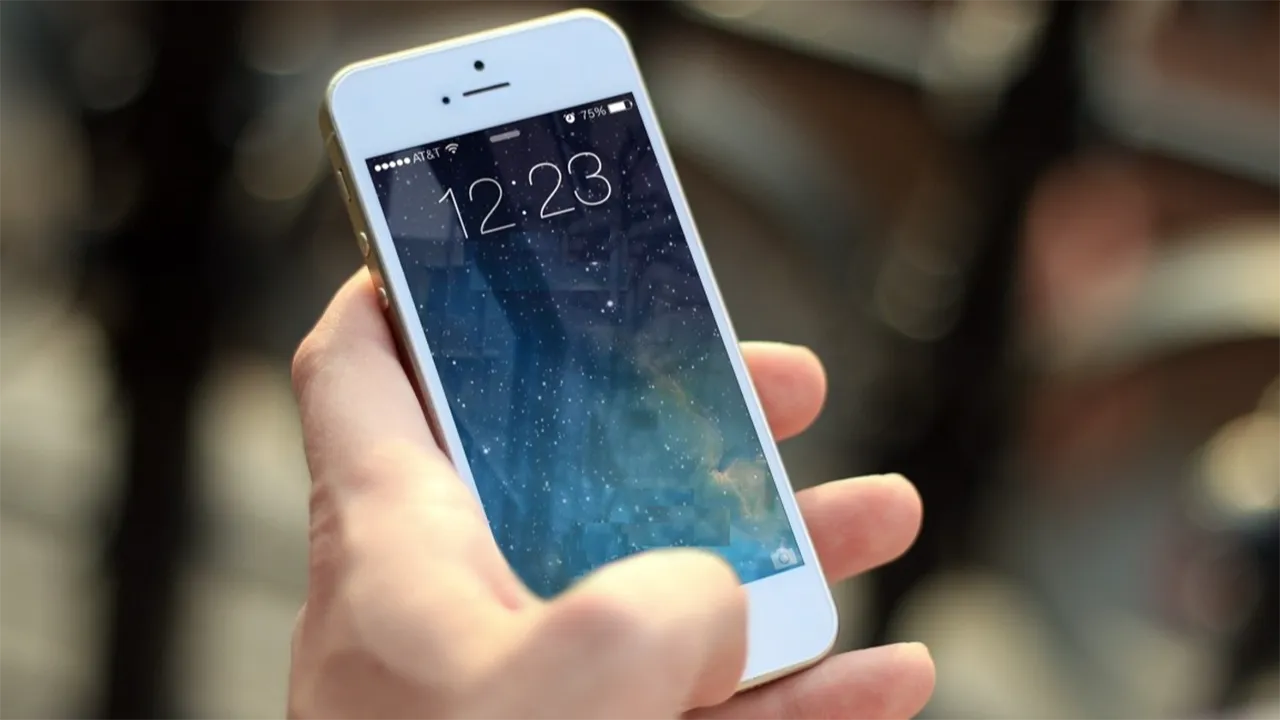 Фото: pxhere.com