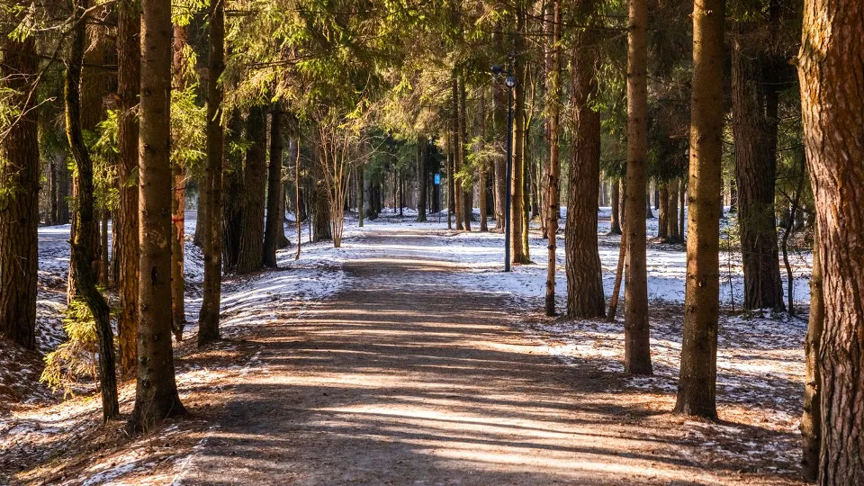 Фото: медиасток.рф