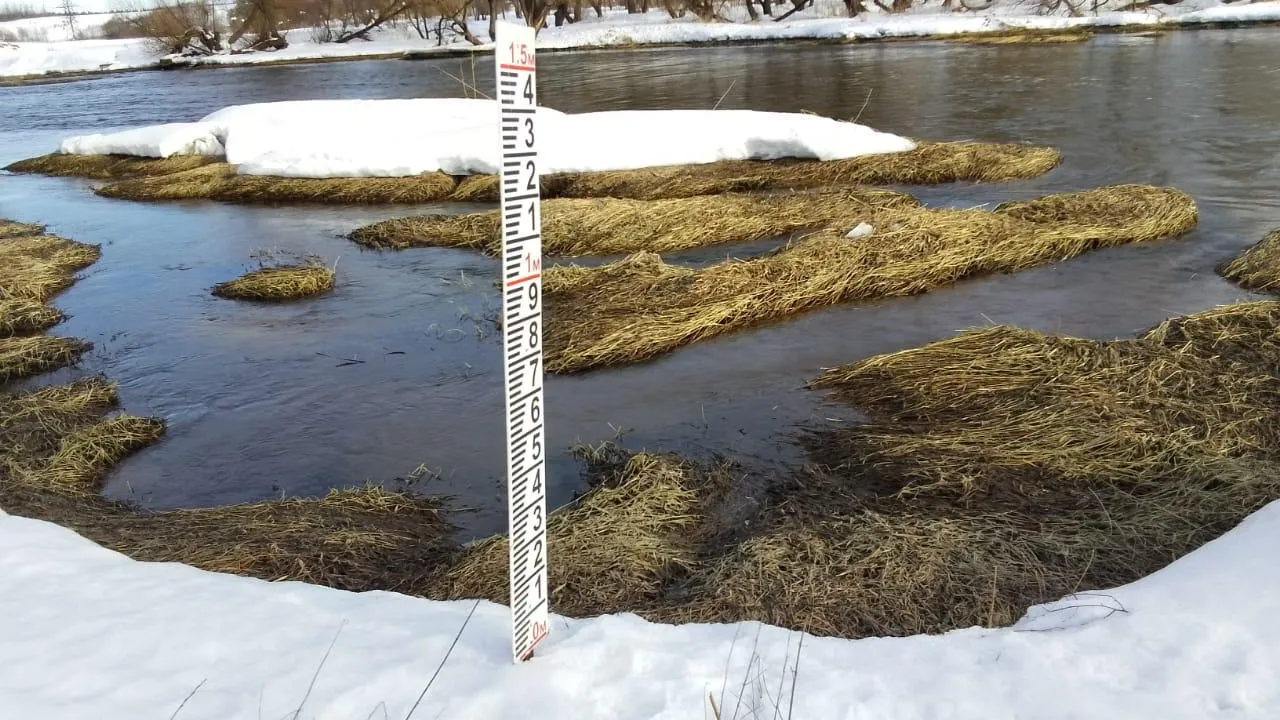 Фото: Яна Шаливская