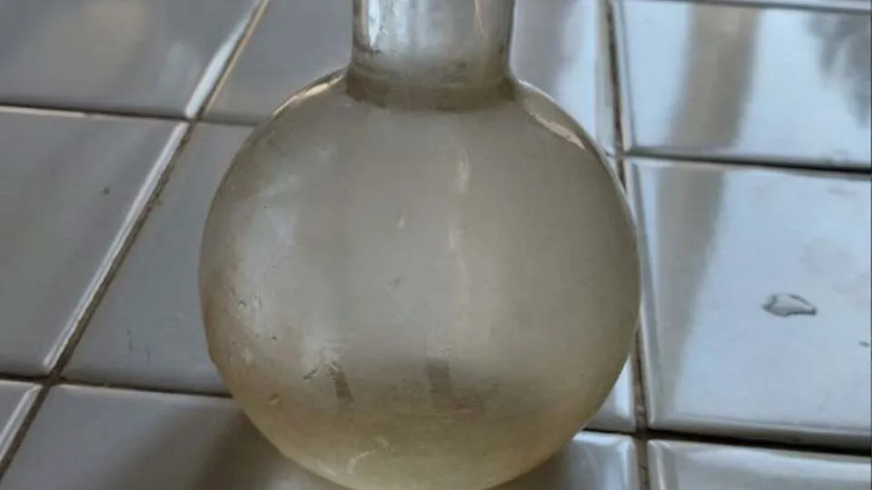 Фото: пресс-служба администрации г.о. Солнечногорск