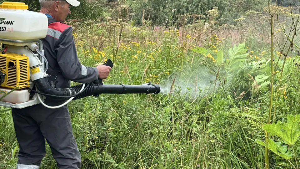 Фото: Татьяна Рунова