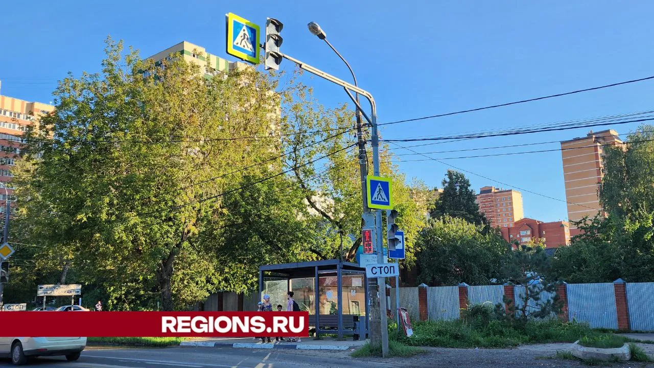 Фото: Валерия Тингаева