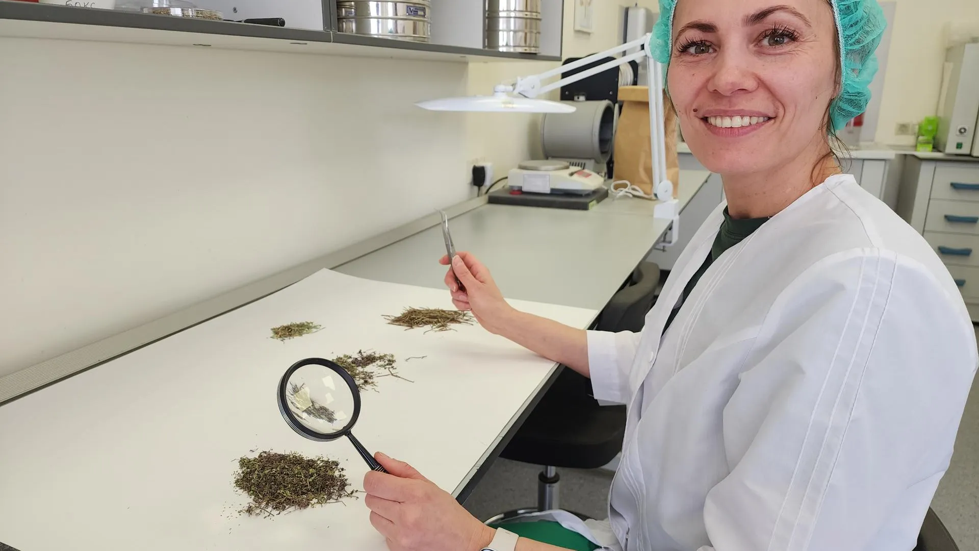 Фото: REGIONS/Артем Мишуков