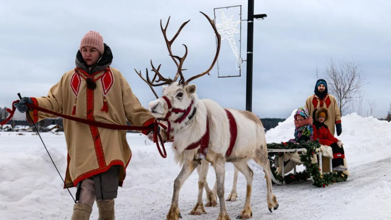 Фото: t.me/park_suncoast