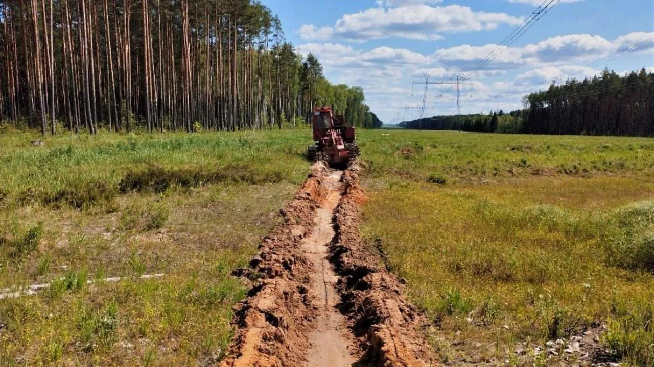 В Подмосковье перевыполнили план по прочистке минерализованных полос в лесах