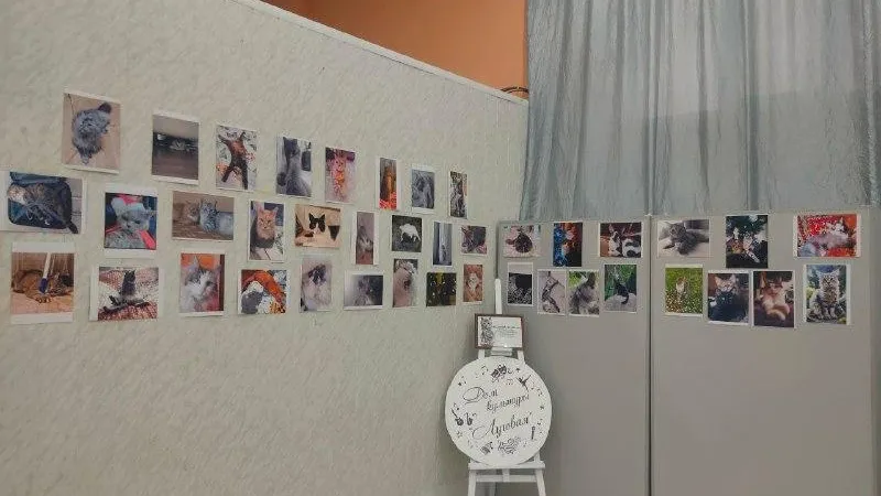 Пресс-служба администрации городского округа Лобня