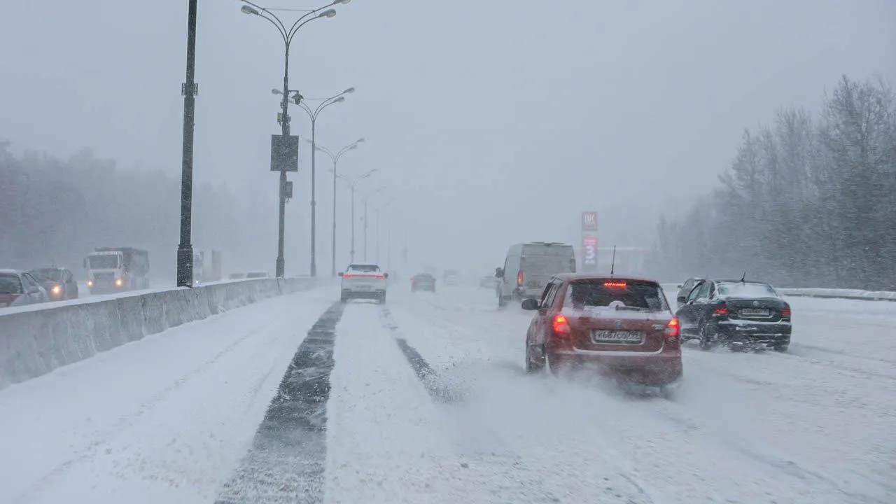 REGIONS/Роман Малышенко