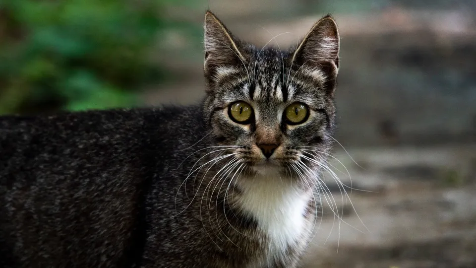 Фото: Наталия Надточая