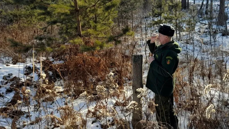 Фото: Комлесхоз МО