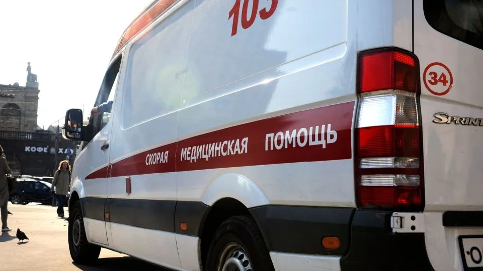 Фото: Медиаархив Подмосковья