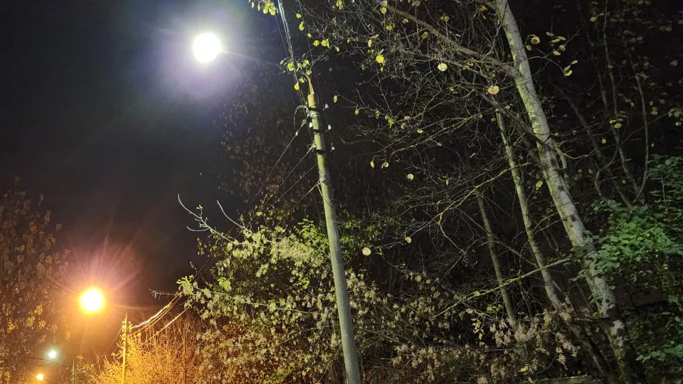 Фото: МедиаБанк Подмосковья/Валентина Максимова