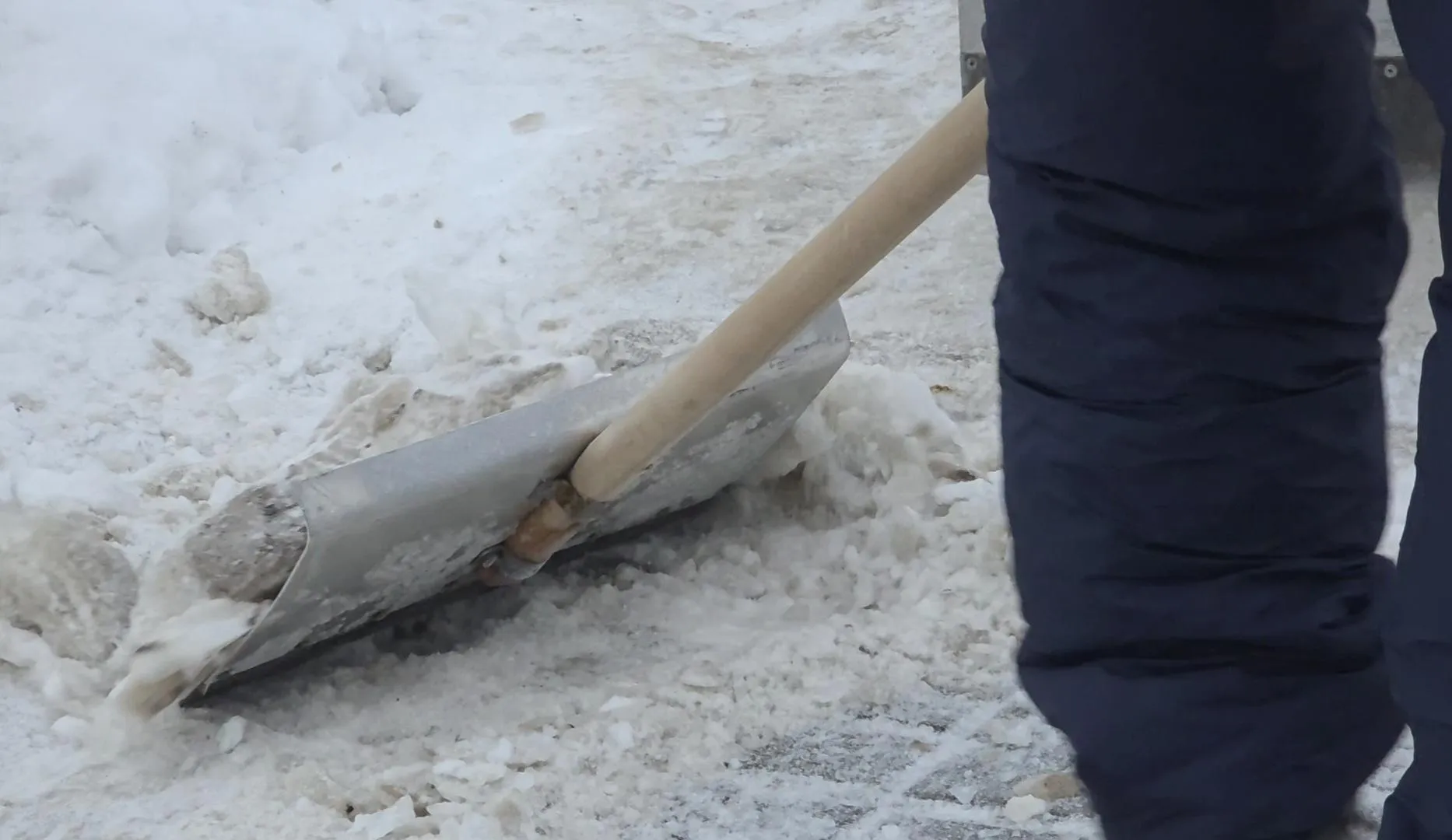 МедиаБанк Подмосковья/Мария Юдина